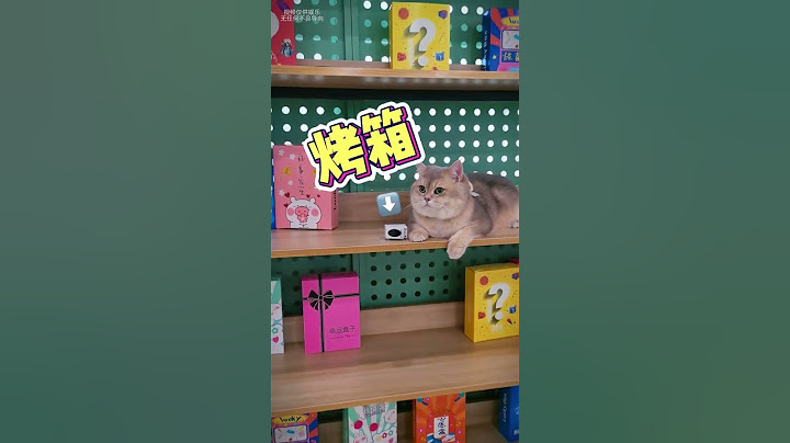 我明明看到她放進去了，咋回事啊？！ #萌寵出道計劃#招財貓#盲盒 #萌寵 #cat #pets #shorts