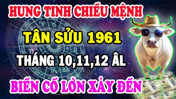 “Cảnh Báo Khẩn! Tân Sửu 1961 Đối Diện Hung Tinh – Tháng 10, 11, 12 Âm Lịch Đại Nạn Kề Cận!”