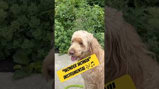 Tune Time With Winnie