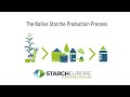 The native starche production process
