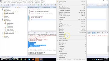 Karate : Automate REST API Testing for Beginners