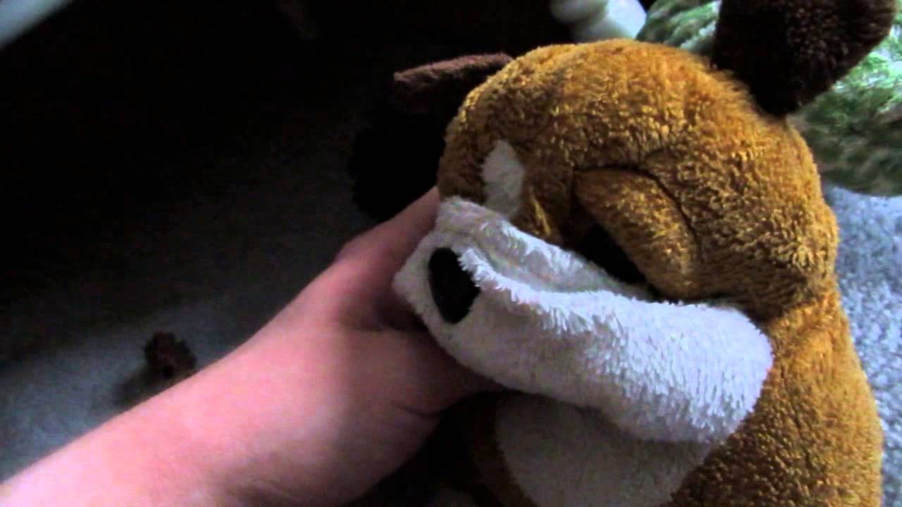 webkinz christmas caroling funnydog tv dog barking christmas carols