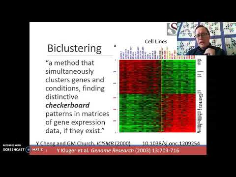 Video: BiC2PAM: Beperkinggestuurde Biclustering Voor Biologische Data-analyse Met Domeinkennis