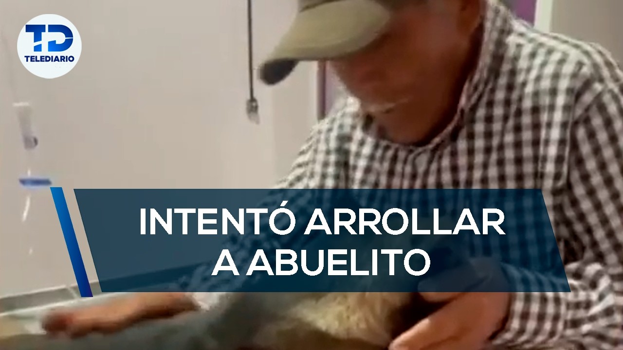 Taxista intentó arrollar a abuelito; atropelló a su perrito - YouTube