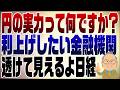 1457回 円の実力が1/3に!と騒ぐ日経新聞 そもそも円の実力って何?