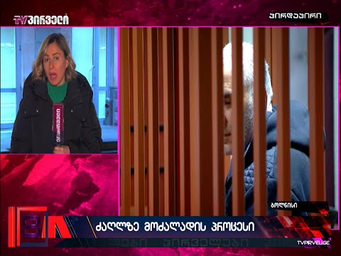 ძაღლზე მოძალადე პატიმრობაში გაუშვეს