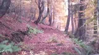 Excursión de otoño en Cahecho. Potes (Cantabria)