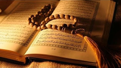 من أروع تلاوات القارئ علاء عقل سورة الكهف، فصلت، مريم، طه - تلاوة تريح القلب وتشرح الصدر