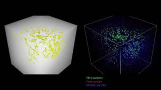 Explanation of making slime mold by diffusion algorithm