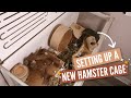Setting Up A New Hamster Enclosure