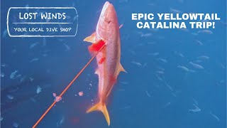 Epic Catalina Island Spearfishing Trip!