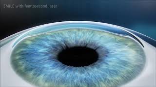 SMILE Animation