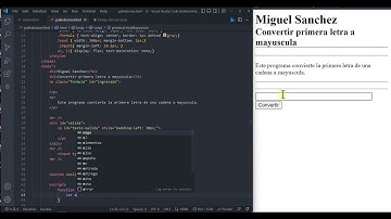Convertir primera letra de un texto a mayusculas usando javascript