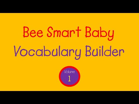 Bee Smart Baby - Vocabulary Builder: Vol. 1 (1999)