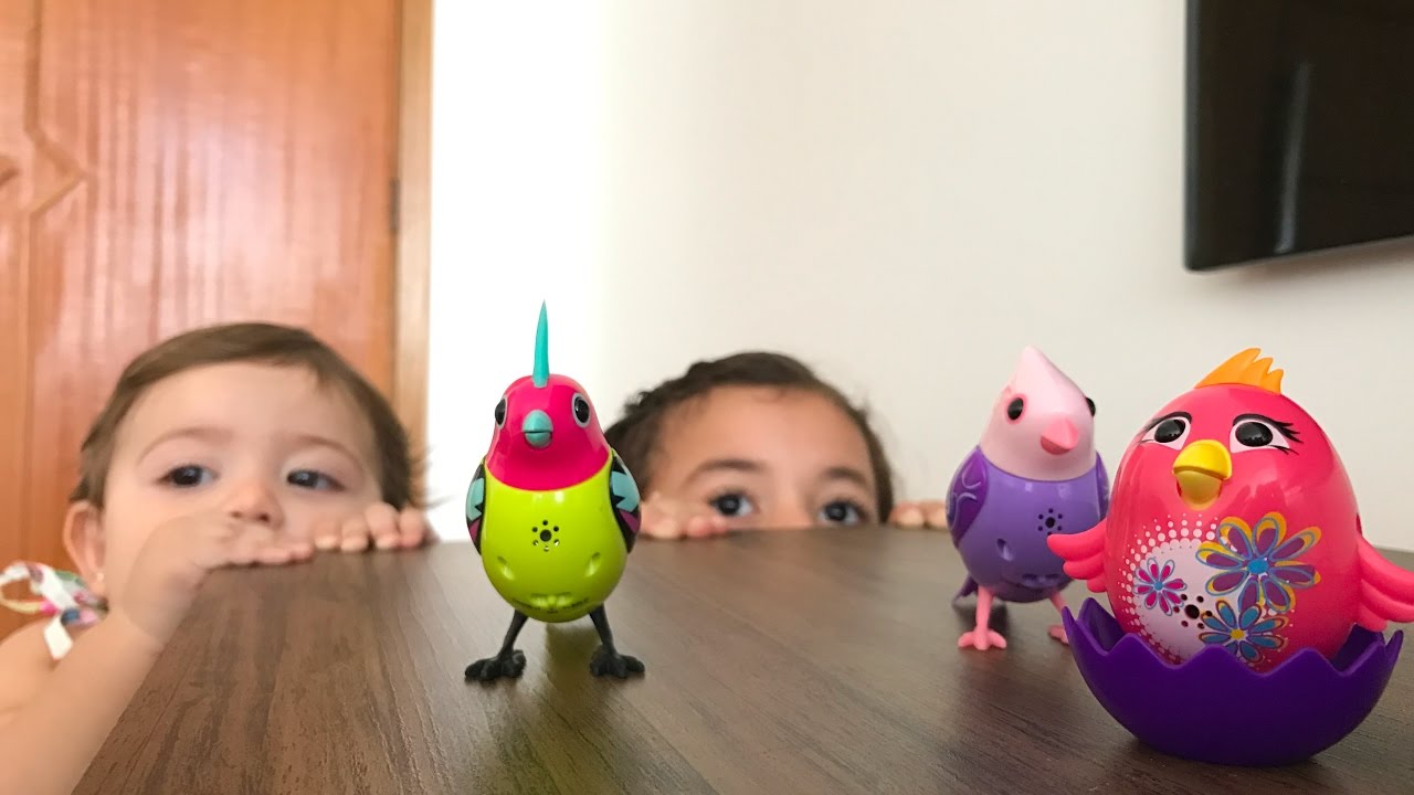 Os passarinhos cantores camera iphone 8 plus apk