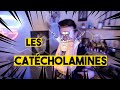 Les catecholamines  adrnaline noradrnaline dobutamine 