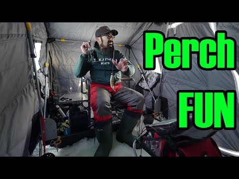Cooks Bay Perch Ice Fishing