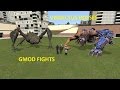 GMOD FIGHTS: VINDICTUS