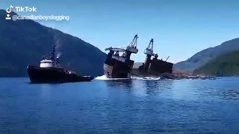 Clean Log Barge Dump ! Gotta love it !