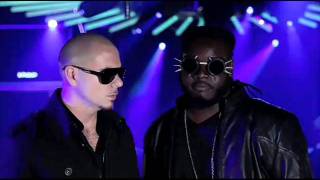 Pitbull ft. T-Pain - Hey Baby (Drop It To The Floor) (Planet Pit)