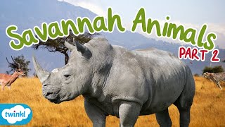 What Animals live in the Savannah? Part 2 | More African Savannah Animals for Kids
