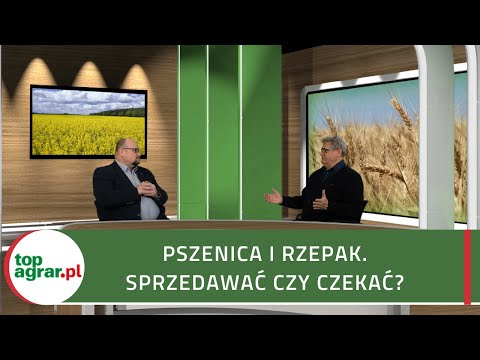 Wideo: Który kraj jest największym eksporterem pszenicy?