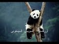 الوفاء 9