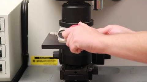 The FT IR and Microscope