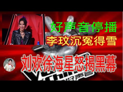 《中国好声音》终于停播。李玟生命呐喊终有回应。导师刘欢不再沉默，好声音学员徐海星痛陈遭受网爆经历，怒揭好声音黑幕。#李玟#好声音停播#李玟好声音录音#刘欢#徐海星
