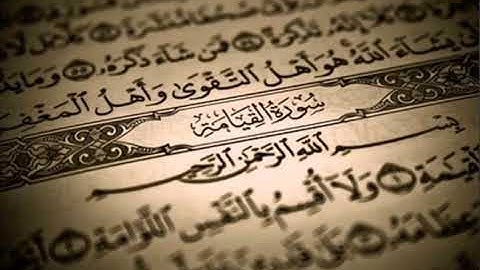 𝐔𝐲𝐠𝐡𝐮𝐫 𝐐𝐚𝐫𝐢 • سورة القيامة