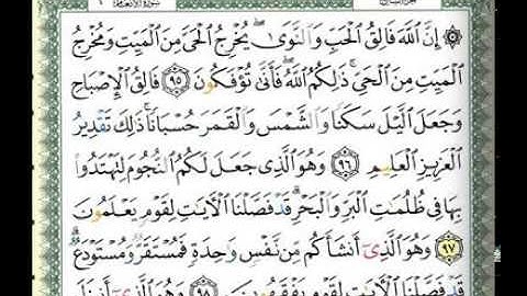 سورة الأنعام ياسر الدوسري (82-118)