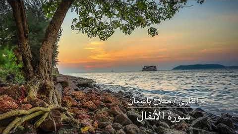 صلاح باعثمان:سورة الكهف