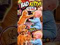 Kitty Slapped the Baby… Then Mama Cat Came & Did This! 😂🐱 | Learn English#funny #learnenglish