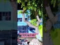 khadi Bhndar road dighwa dubauli video