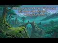 Relaxing Celtic Fantasy Music for Study & Relaxation | The Knight Who Chose the Quiet Woods