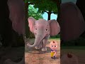 Baby Elephant | Beep Beep Nursery Rhymes #shorts #shortforkids