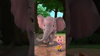 Baby Elephant | Beep Beep Nursery Rhymes #shorts #shortforkids