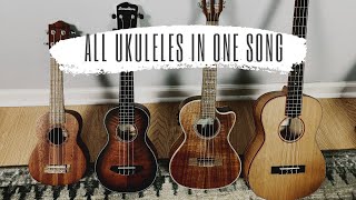 All Ukulele Types in One Song!