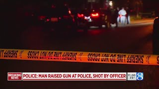Albion public safety: Man raised gun at police, shot by officer