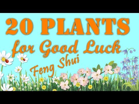 20 Plants for Good luck - 20 φυτά για καλή τύχη