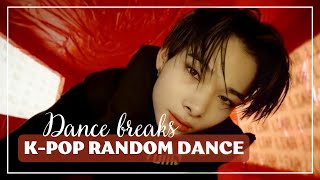 [Mirrored] K-Pop Random Dance | Only Dance Breaks (+ Endings)