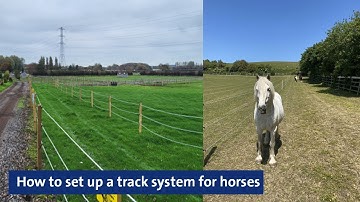 Webinar: How to set up a track system for horses