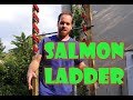 Homemade Salmon Ladder made cheaply
