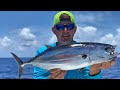 Skipjack tuna catch ,clean & cook