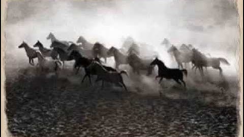 سورة العاديات | ادريس ابكر HD