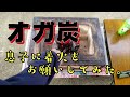 【オガ炭】お家でBBQ