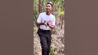 Found a hole in the middle of the forest, turns out it contains this