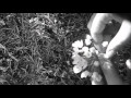 Videoclips poètics - Estenc la mà. Miquel Martí i Pol.