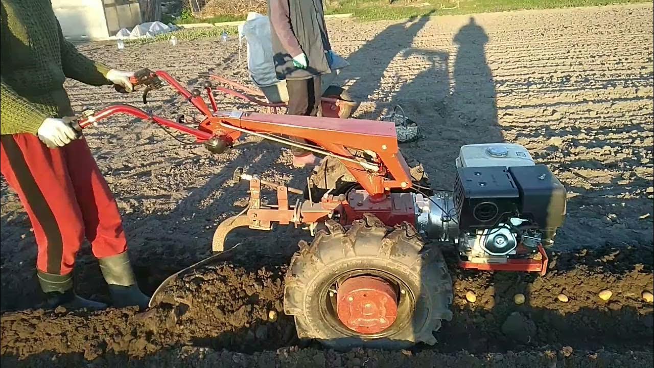 плуг на минитрактор. борозды для картошки. посадка картофеля мотоблоком. мотоблок агат пахота. минитрактор т 244 вспашка плугом.