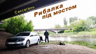 Риболовля в дощ ПІД МОСТОМ 🐟🐟  Результат ВРАЗИВ... 💥 Fishing Video